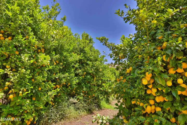 Lemons