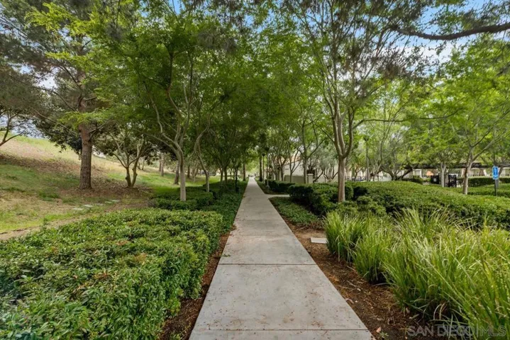 42 Paperwhite, Irvine, California 92603