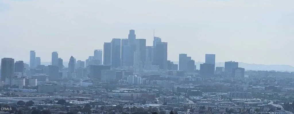 DTLA SOUTH VIEW