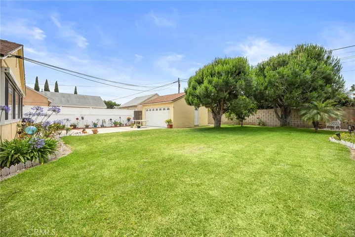 Expansive backyard