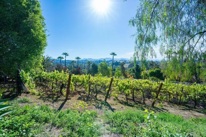 2278 Casitas Del Sol, Fallbrook, California 92028