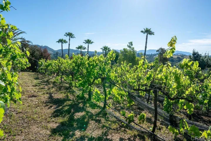 2278 Casitas Del Sol, Fallbrook, California 92028