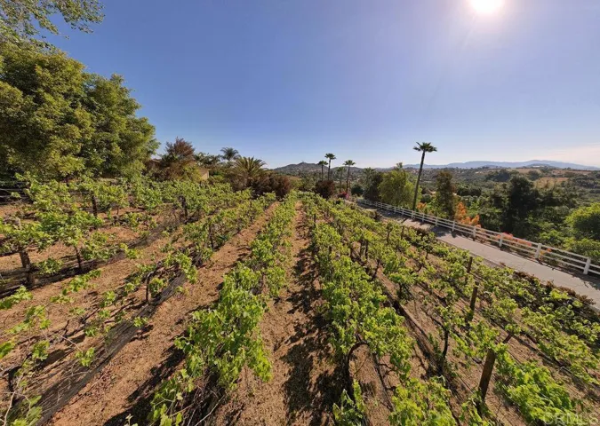 2278 Casitas Del Sol, Fallbrook, California 92028