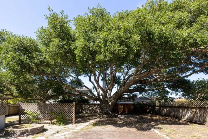 954 Seapalm Avenue, Pacific Grove, California 93950