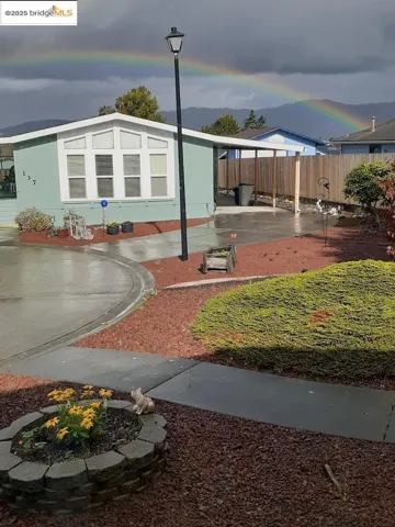 plenty of neighborhood rainbows!