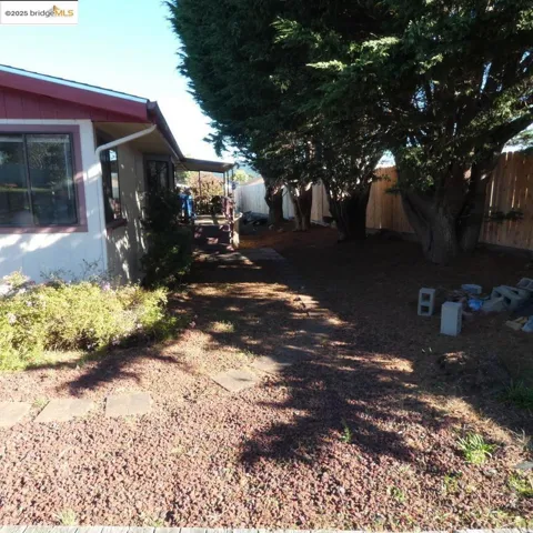 tree lined backyard