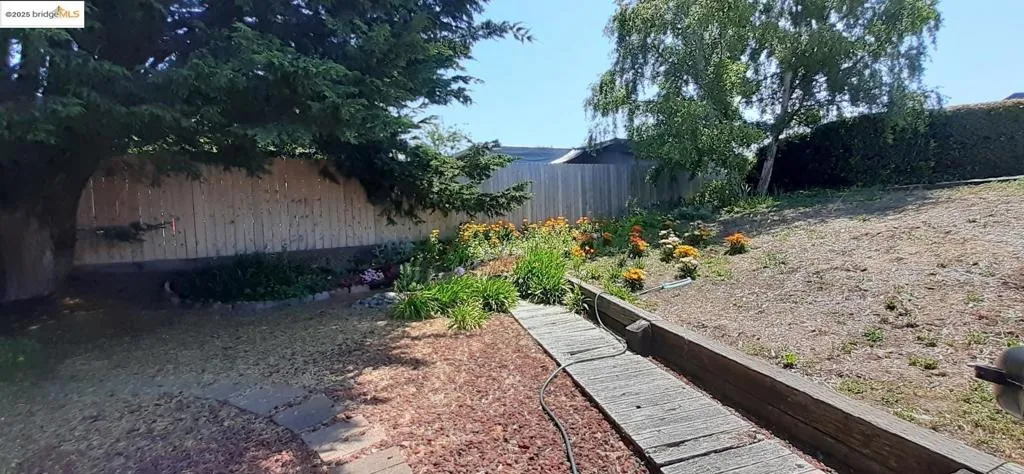 back garden area