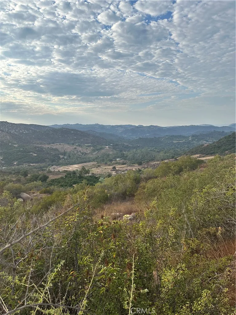View from potential pad area.