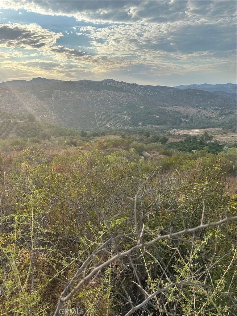 View from potential pad area.