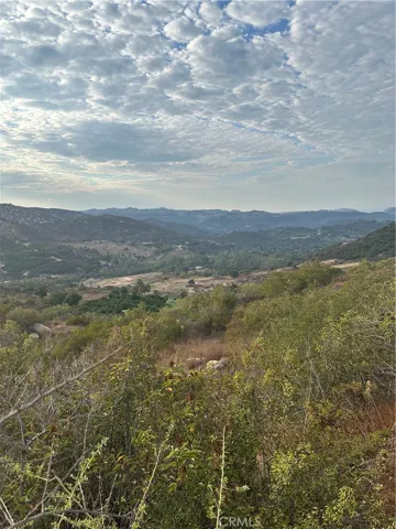 View from potential pad area.