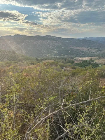 View from potential pad area.