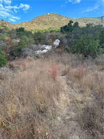 View of potential pad area.