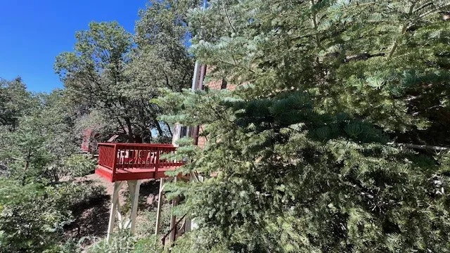 33474 Angeles Drive, Green Valley Lake, California 92341 home-pic-53