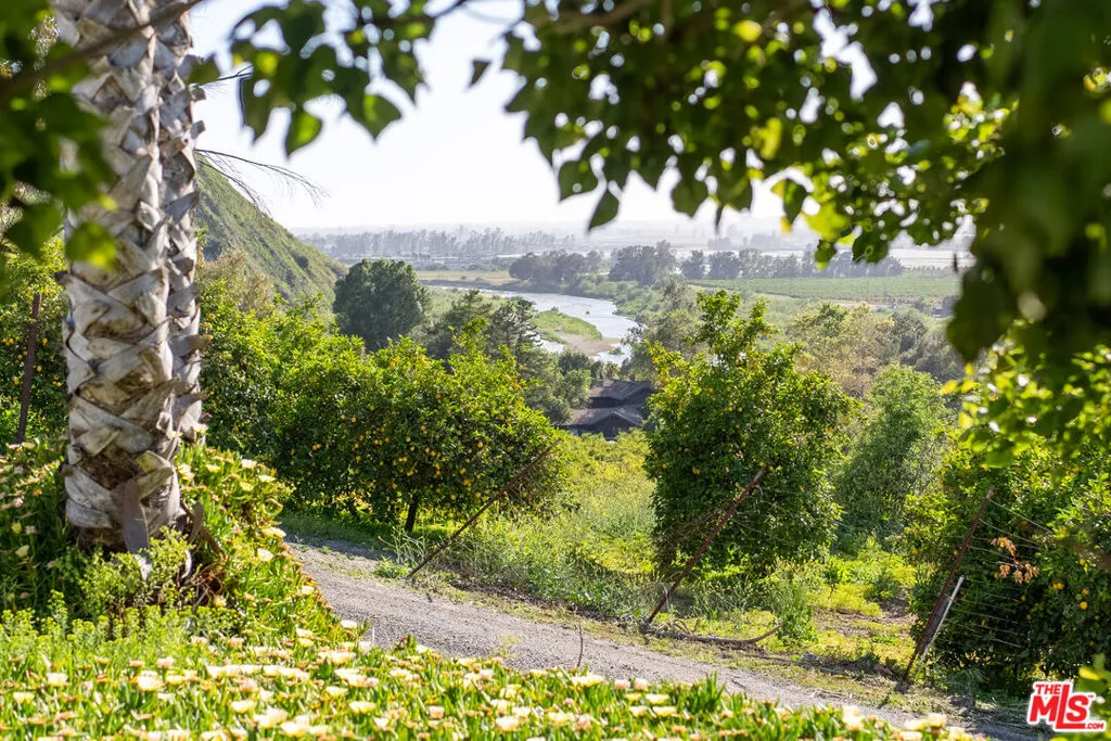 15454 S Mountain Road, Santa Paula, California 93060 home-pic-55