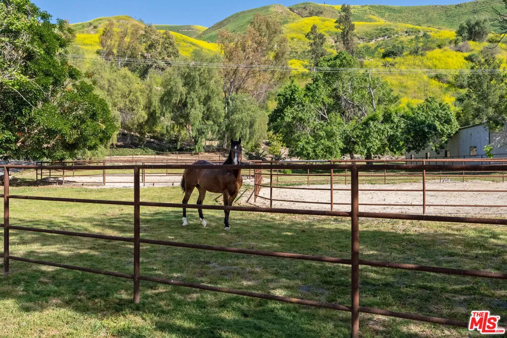 15454 S Mountain Road, Santa Paula, California 93060 home-pic-60