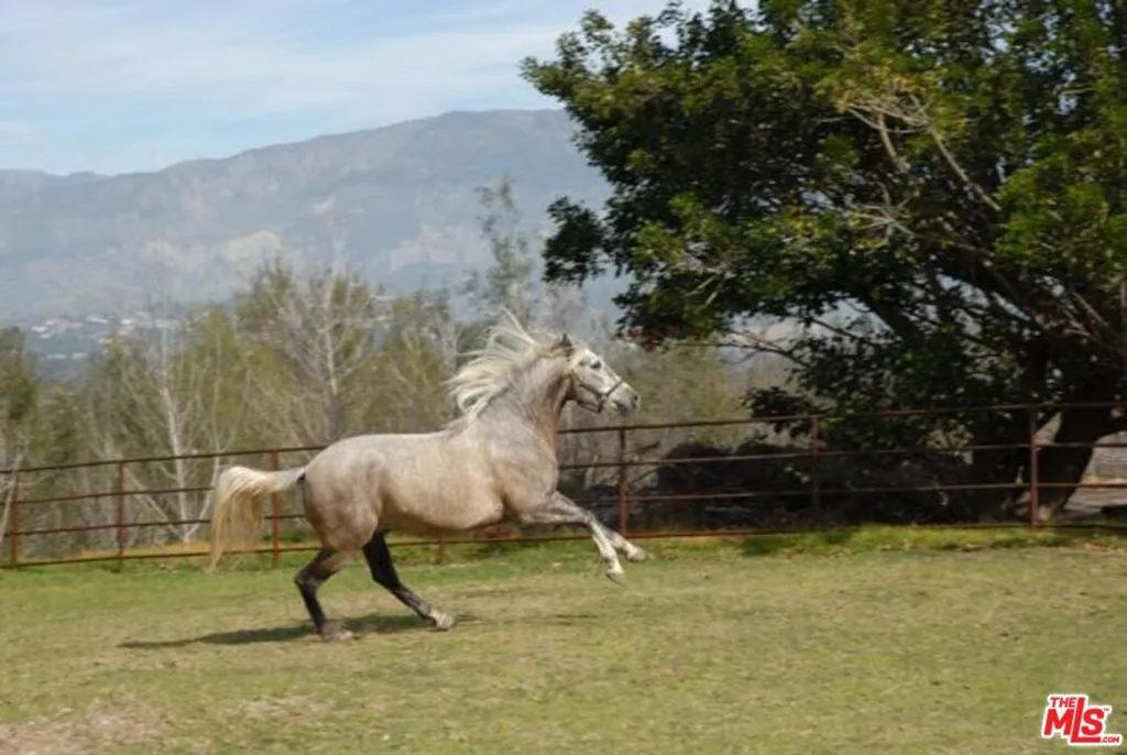 15454 S Mountain Road, Santa Paula, California 93060 home-pic-62