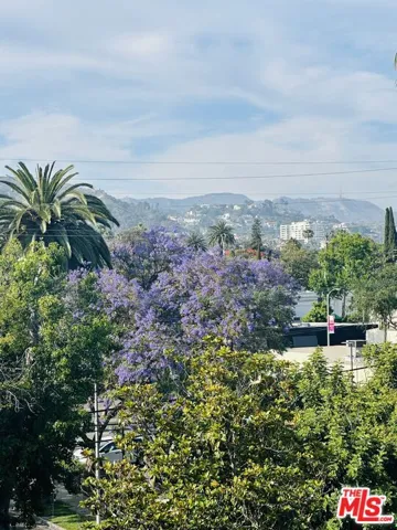 Rooftop view