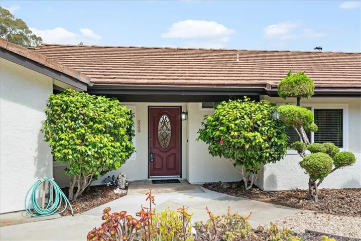 Easy care yard and single level living