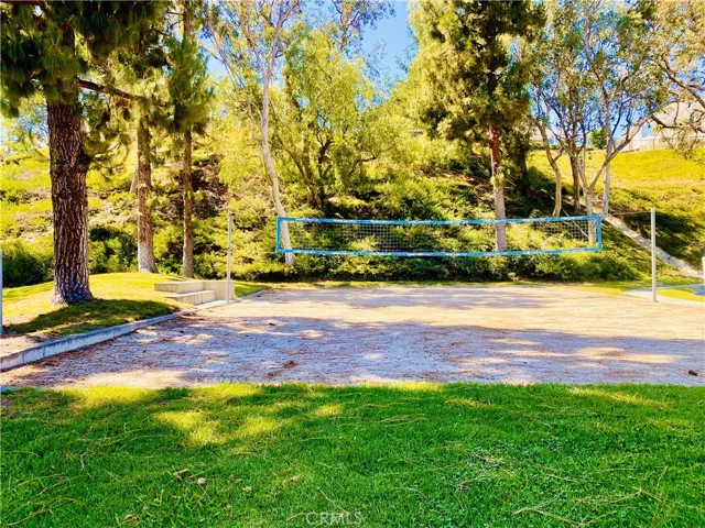 Community Volleyball Court