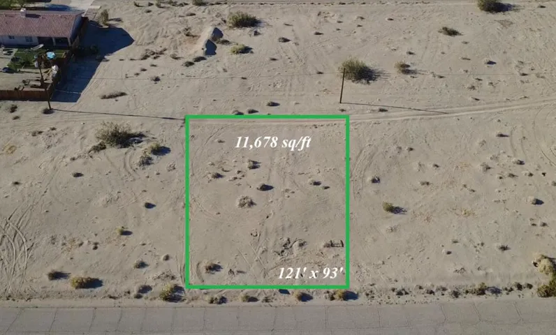 2301 Sand Flower
