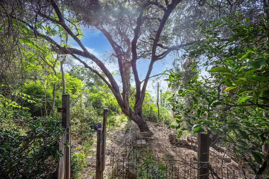 678 Robby Way, Fallbrook, California 92028 home-pic-28