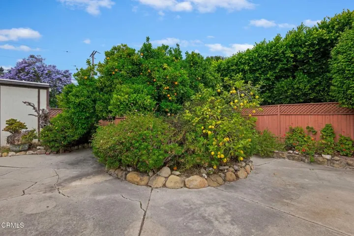 23 - Fruit Trees