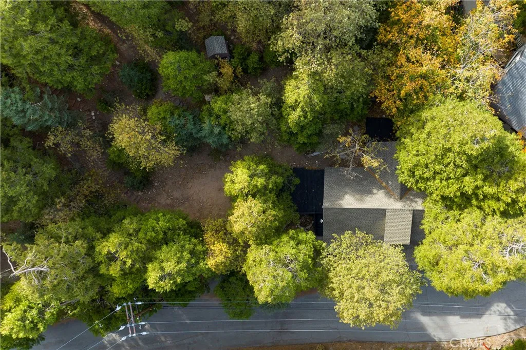 814 Glen View Lane, Twin Peaks, California 92391 home-pic-31