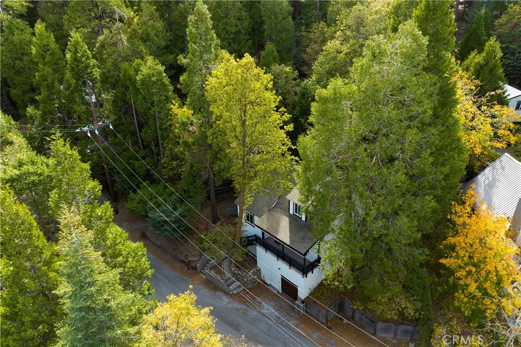 814 Glen View Lane, Twin Peaks, California 92391 home-pic-30