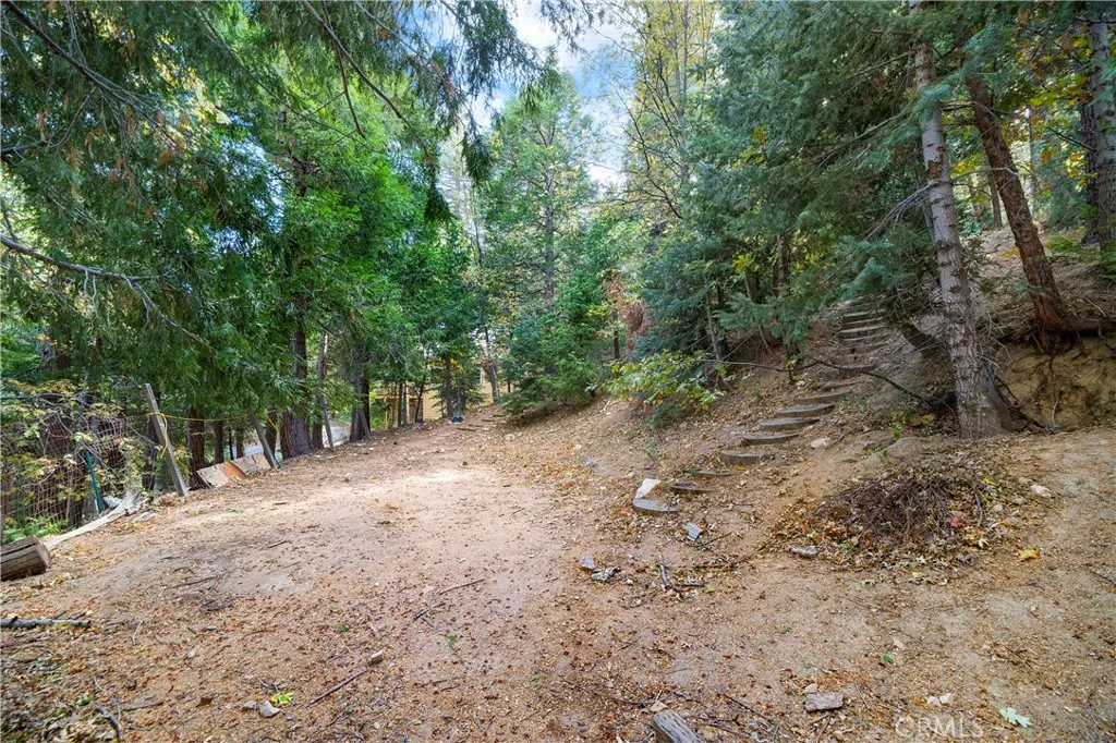814 Glen View Lane, Twin Peaks, California 92391 home-pic-25