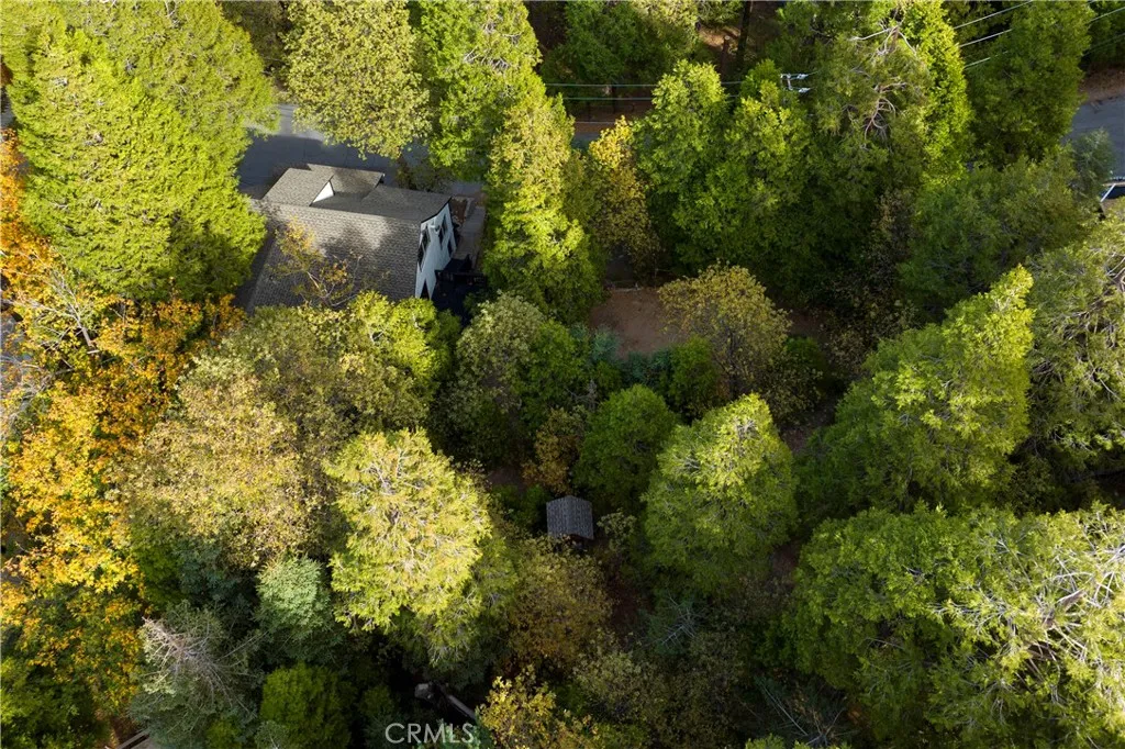 814 Glen View Lane, Twin Peaks, California 92391 home-pic-32