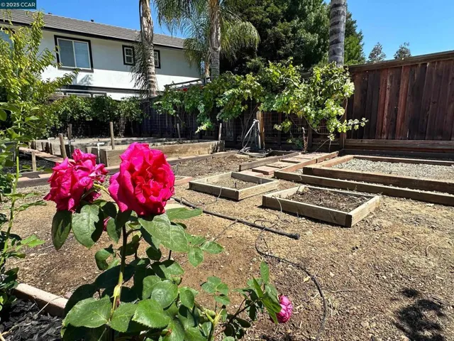 2332 Windy Springs Ln, Brentwood, California 94513