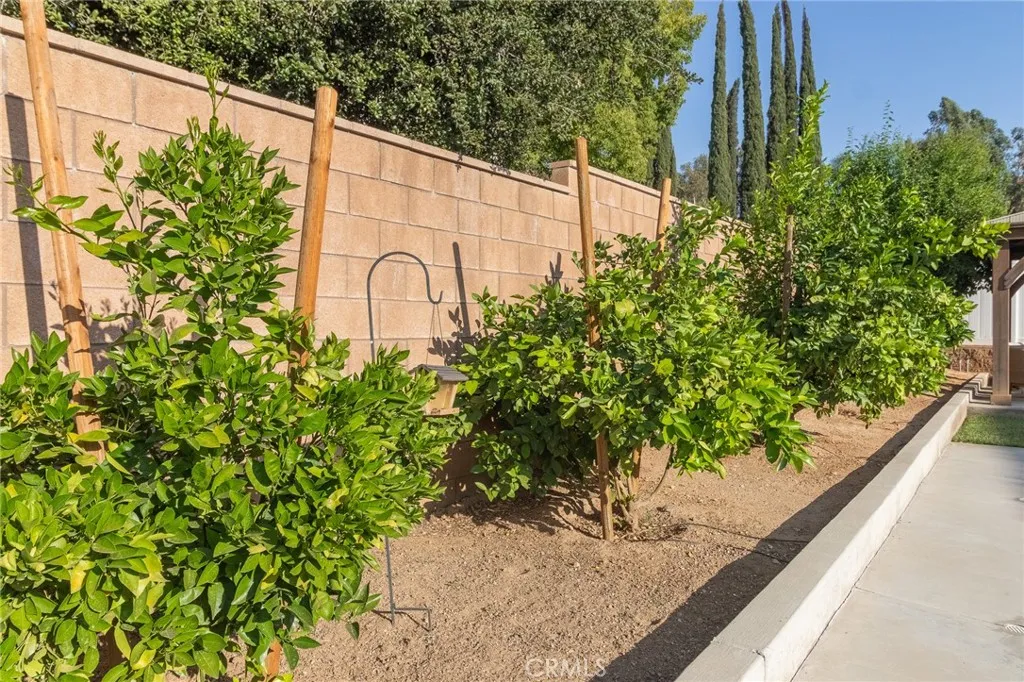 1827 Montecito Lane, Redlands, California 92374 home-pic-51