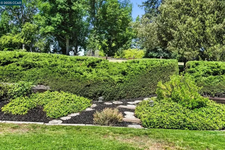 575 Old Orchard Dr, Danville, California 94526