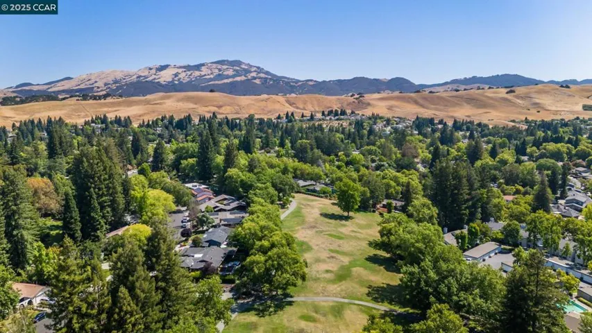 575 Old Orchard Dr, Danville, California 94526