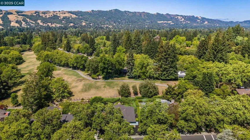 575 Old Orchard Dr, Danville, California 94526