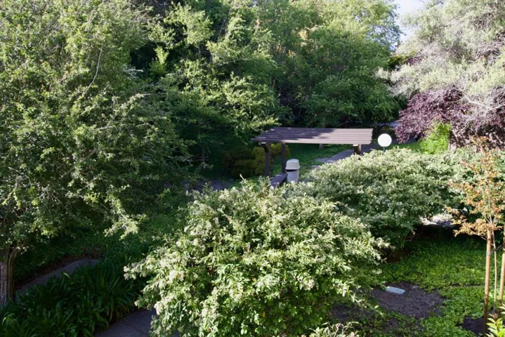 7203 Shelter Creek Lane, San Bruno, California 94066