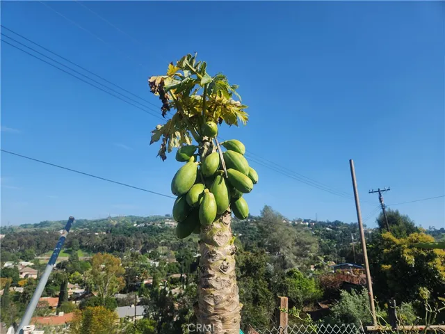 2868 Yojoa Place, Hacienda Heights, California 91745