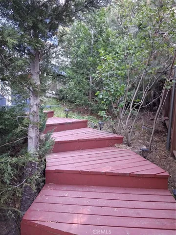 Steps from driveway