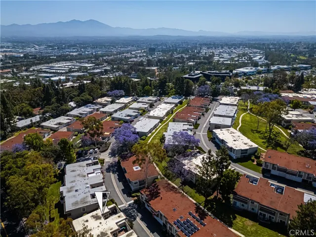 Looking South