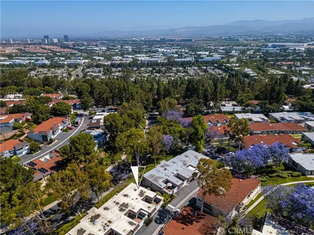 Looking North
