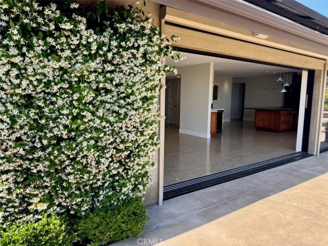 Jasmine is abundant