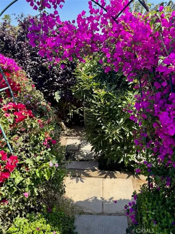 Magical garden path