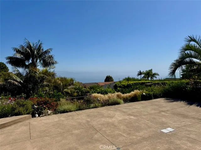 Pacific Ocean View