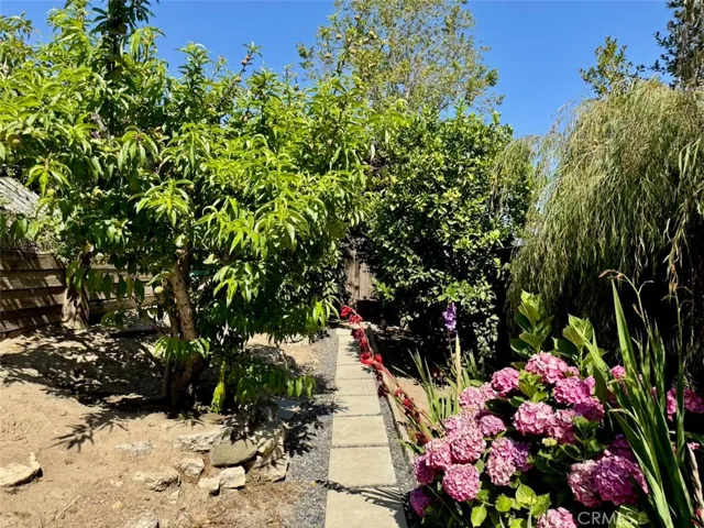 Terraced fruit tree and flower garden