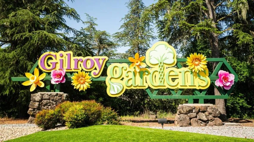 9251 Mockingbird Lane, Gilroy, California 95020