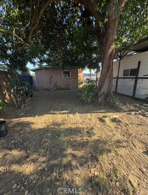 Back yard