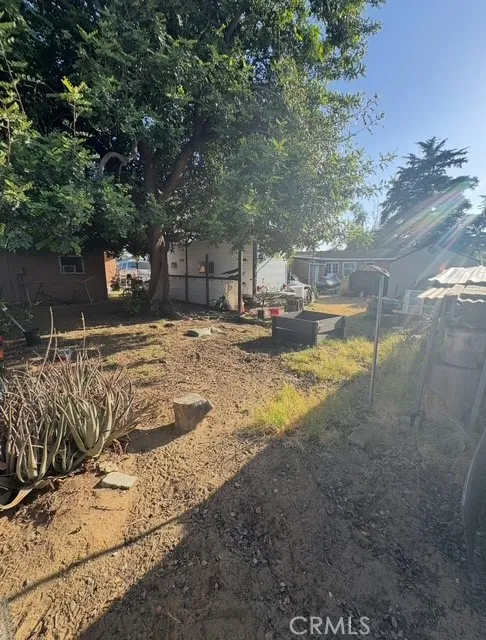 Back yard