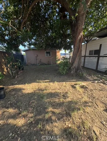 Back yard