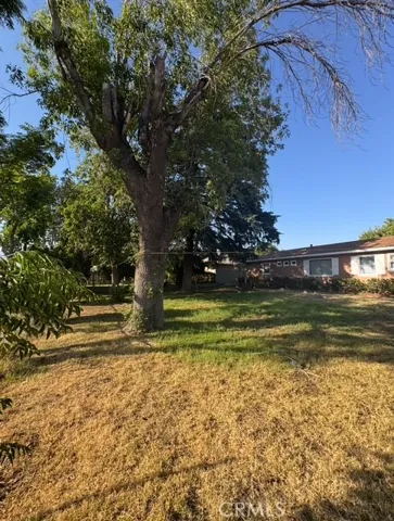 Front yard