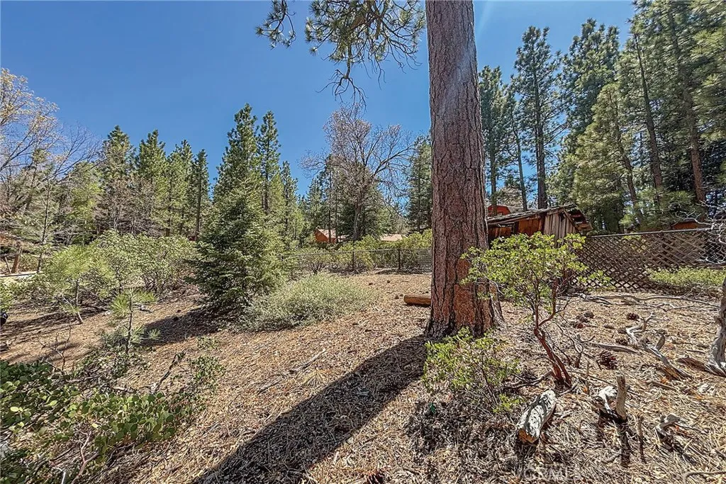 800 Eureka Drive, Big Bear Lake, California 92315 home-pic-34